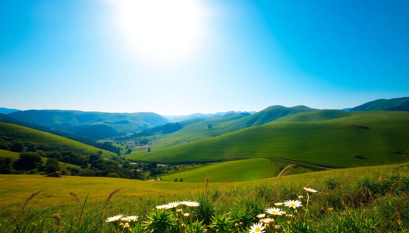 Healthlifeherald.com showcases a vibrant valley landscape filled with colorful flowers under a sunny sky.